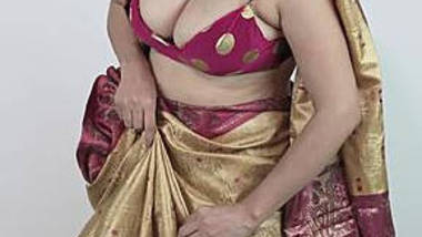 Sexy Indian Porn Sari - Sexy Indian Girl Showing Her Boobs hot porn video